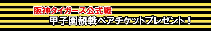 阪神タイガース公式戦　甲子園観戦ペアチケットプレゼント！